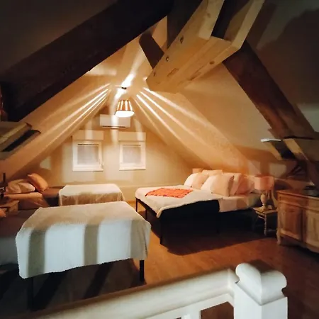 Le Fenil Du Grand Dormeur - D'hotes 3* Bischoffsheim